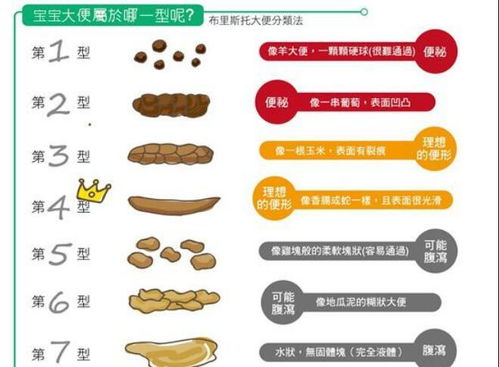宝宝健康成长的秘密，食物营养排名表全解析