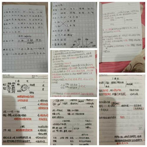 孩子成长的每一步，育儿专家的成长手册导语大全