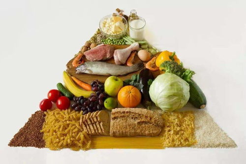 食物营养价值，为孩子打造健康饮食的指南