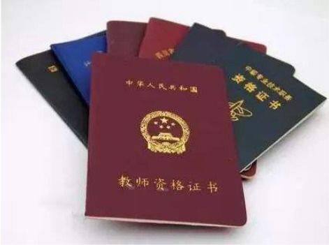幼儿教师资格证科目一，深入解析真题，助力教师资格备考