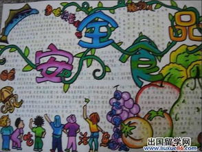 探索食物营养，为孩子打造健康手抄报