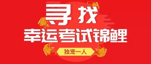 幼儿教师资格证，开启专业育儿之路的金钥匙