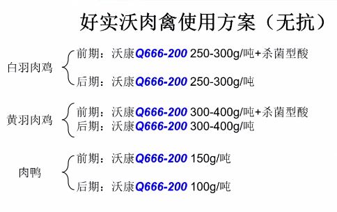 孩子成长计划的全面总结，300字精华版