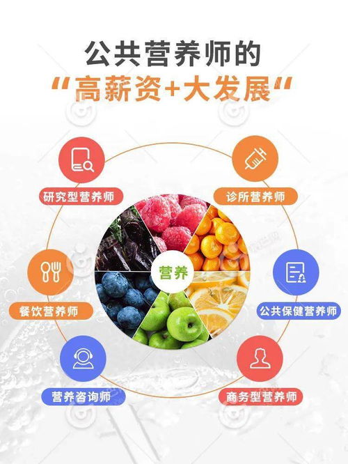 食物营养排行榜金字塔，为孩子打造均衡饮食的指南