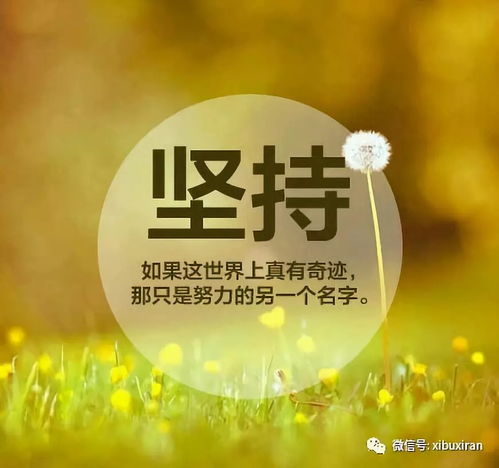 在痛苦中成长，逆境中的力量与智慧