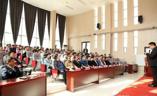 探索幼儿心智，幼儿教育心理学的核心内容