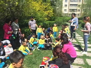 探索与成长，如何通过游乐项目促进儿童全面发展