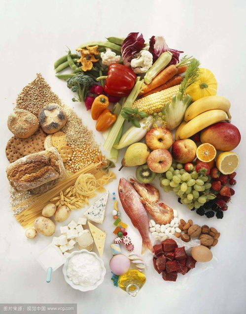 食物营养成分速查，为孩子健康成长提供科学饮食指南