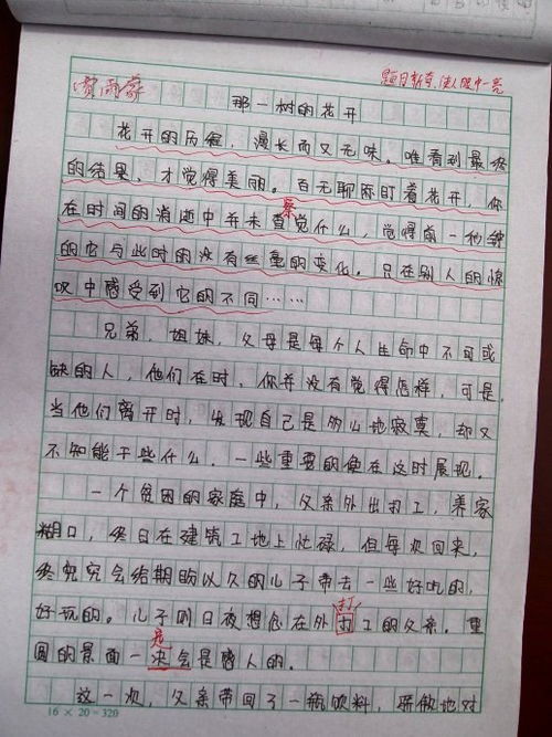 孩子的成长乐园，300字玩耍作文大全
