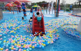 亲子水上活动，清凉夏日的亲子玩乐项目大全
