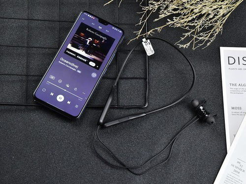 拼音游戏，让孩子在玩乐中掌握拼音拼写