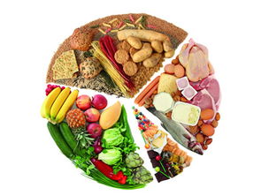 营养导航，如何利用食物营养成分查询平台为孩子打造健康饮食