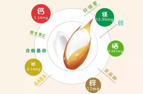 宝宝健康成长的基石，一日三餐的营养成分及含量