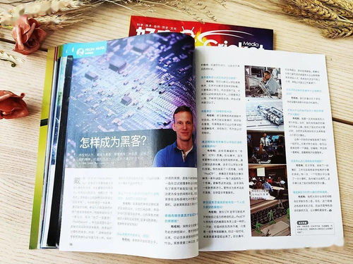 幼儿教育期刊概览，探索儿童早期教育的学术资源