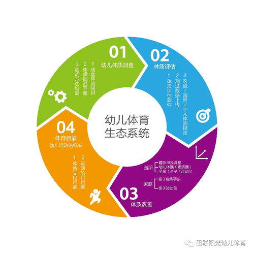 幼儿教育名词解释，深入理解课程的核心概念