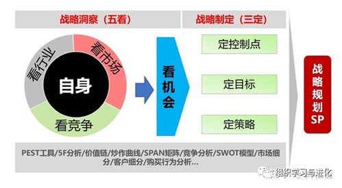 企业发展能力的挑战与对策，从育儿专家的视角看企业成长