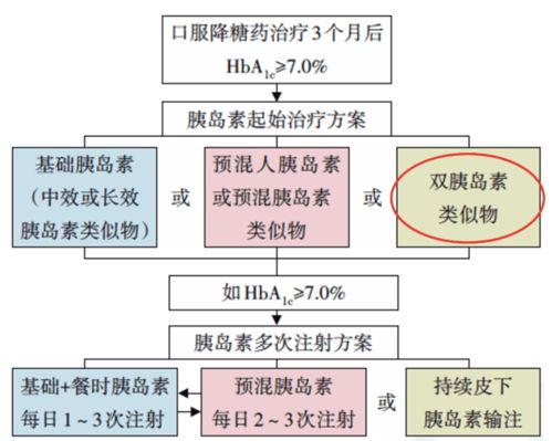 幼儿园专业名称，理解与选择指南