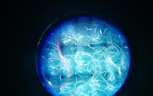 光谱图片高清，探索孩子眼中的色彩世界