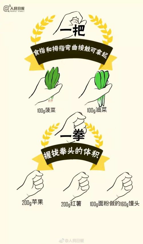 营养金字塔简笔画，让孩子轻松掌握健康饮食