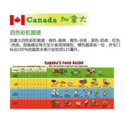 构建孩子的健康饮食，营养金字塔的高清图解与实践指南