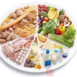 探索食物的奥秘，一份全面的食物营养物质介绍小报