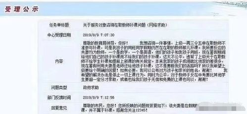 2013年幼师成绩查询，家长指南与教育启示