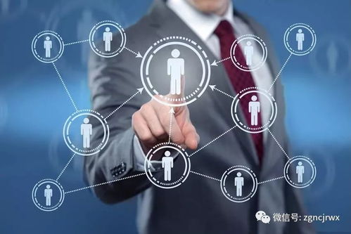 幼儿教育专业，女性就业前景分析与职业发展路径