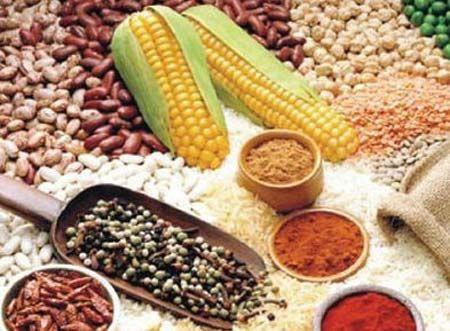 谷类食物，宝宝健康成长的营养宝藏