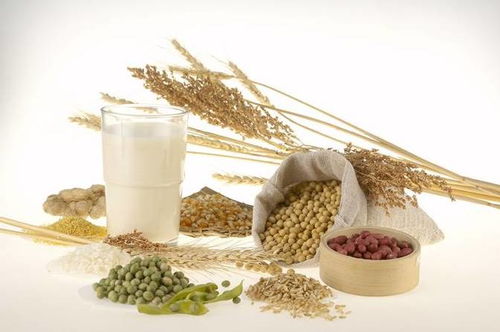 食物营养金字塔，孩子健康成长的指南针