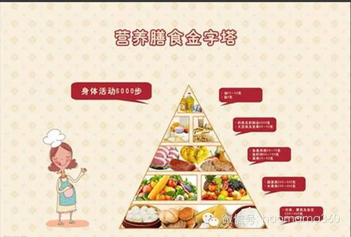 孩子成长的营养宝库，食物营养成分手抄报制作指南