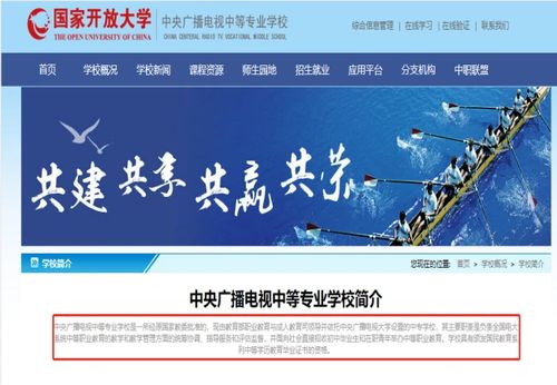 幼师中专自考大专，科目指南与备考策略