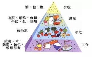 营养全解析，各类日常食物中的营养成分及其对孩子成长的重要性