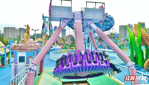 打造儿童友好的游乐园，活动设计思路与实践指南