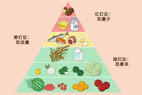 构建孩子健康成长的营养金字塔，饮食结构的重要性
