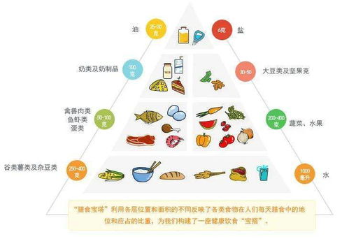 构建孩子健康成长的营养金字塔，饮食结构的重要性