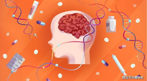 3年成长蓝图，为孩子打造全面成长的黄金时期