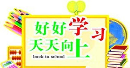 选择最佳幼儿教育视频软件，家长指南