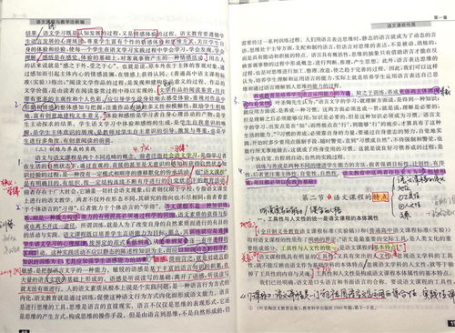 幼师专业，文化课程的重要性与内容概览