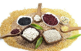 解码食物营养成分表，为孩子健康饮食导航