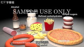 Rides and Thrills:Understanding and Teaching English Expressions for Amusement Park Attractions