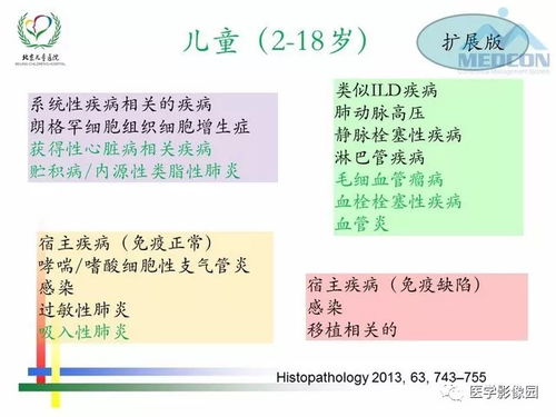 幼儿教育学，核心概念与实践指南