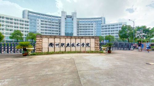 职高学幼师的升学之路，探索适合的大学选择