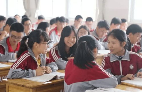 职高学幼师的升学之路，探索适合的大学选择