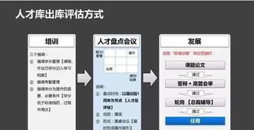 企业成长发展的多维因素，从人力资源到技术创新的全面解析