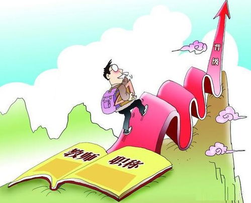 幼师转岗小学教师，可行性分析与职业发展路径