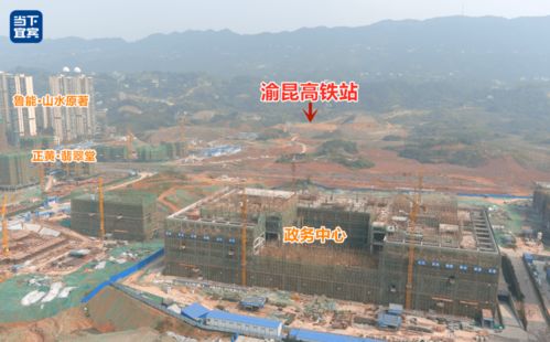 为初中生量身定制的成长及发展规划指南