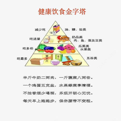 营养金字塔，孩子健康成长的基石