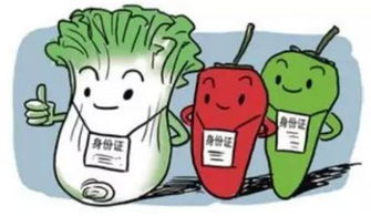 安全喂养，如何正确地向胃管中注入营养餐