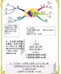 初中三年成长计划导图，为孩子的全面发展铺路