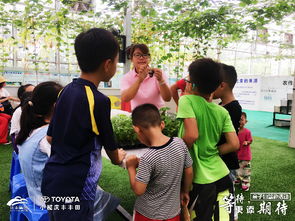 亲子共游，如何组织一场成功的游玩活动